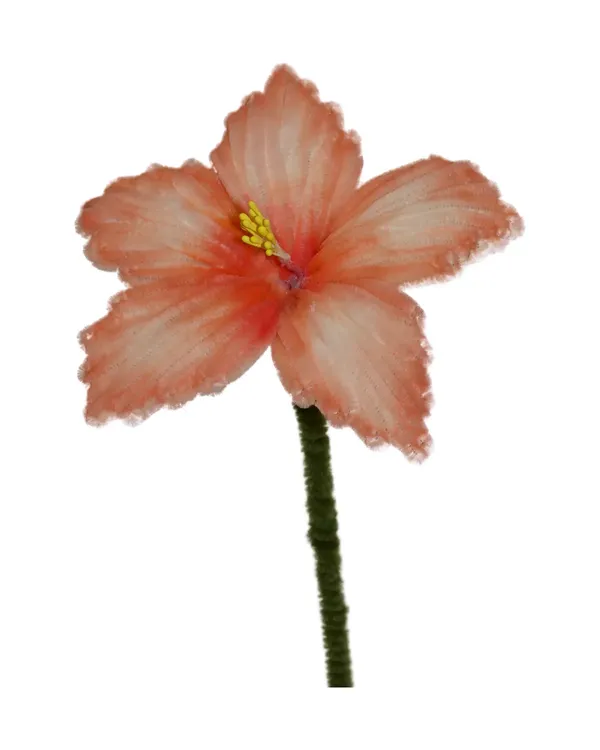 Chenilledraad hibiscus